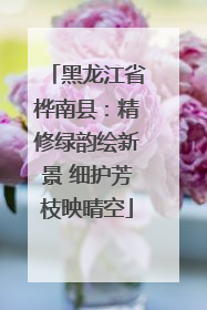 黑龙江省桦南县：精修绿韵绘新景 细护芳枝映晴空