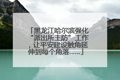 黑龙江哈尔滨强化“派出所主防”工作，让平安建设触角延伸到每个角落……