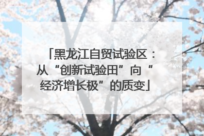 黑龙江自贸试验区：从“创新试验田”向“经济增长极”的质变