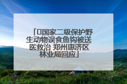 ﻿国家二级保护野生动物误食鱼钩被送医救治 郑州惠济区林业局回应