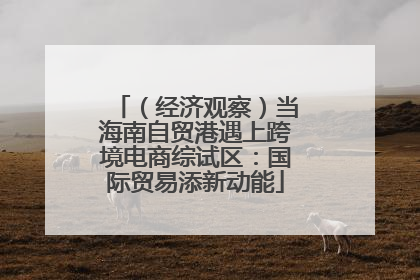 （经济观察）当海南自贸港遇上跨境电商综试区：国际贸易添新动能