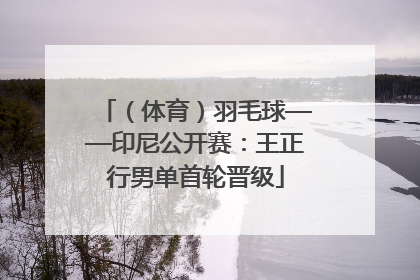 （体育）羽毛球——印尼公开赛：王正行男单首轮晋级