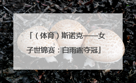 （体育）斯诺克——女子世锦赛：白雨露夺冠