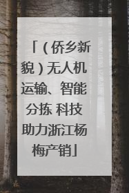 （侨乡新貌）无人机运输、智能分拣 科技助力浙江杨梅产销