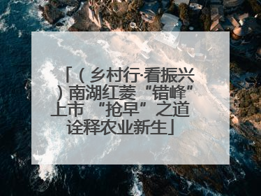 （乡村行·看振兴）南湖红菱“错峰”上市 “抢早”之道诠释农业新生