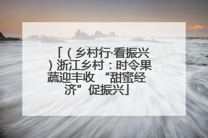（乡村行·看振兴）浙江乡村：时令果蔬迎丰收 “甜蜜经济”促振兴