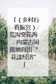 （乡村行·看振兴）荒沟变花海：内蒙古闲置地育出“花漾经济”