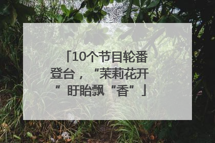 10个节目轮番登台，“茉莉花开”盱眙飘“香”