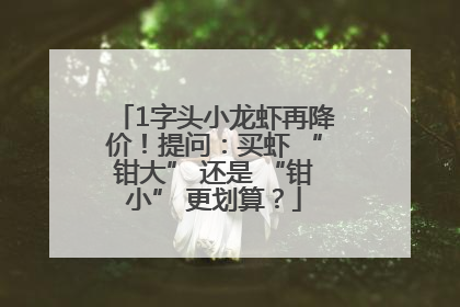 1字头小龙虾再降价！提问：买虾 “钳大” 还是 “钳小” 更划算？