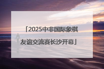 2025中非国际象棋友谊交流赛长沙开幕