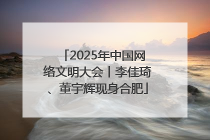 2025年中国网络文明大会丨李佳琦、董宇辉现身合肥