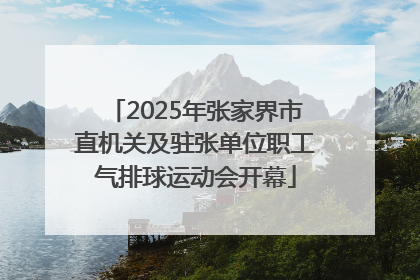 2025年张家界市直机关及驻张单位职工气排球运动会开幕