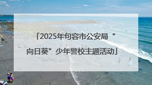 2025年句容市公安局“向日葵”少年警校主题活动