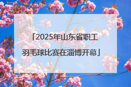 2025年山东省职工羽毛球比赛在淄博开幕