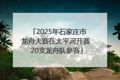 2025年石家庄市龙舟大赛在太平河开赛 20支龙舟队参赛