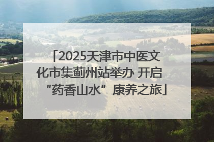 2025天津市中医文化市集蓟州站举办 开启“药香山水”康养之旅