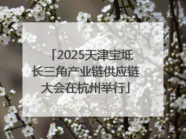 2025天津宝坻长三角产业链供应链大会在杭州举行