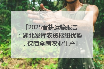 2025春耕运输报告：湖北发挥农资枢纽优势，保障全国农业生产