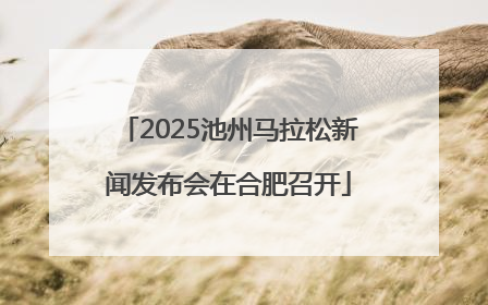 2025池州马拉松新闻发布会在合肥召开