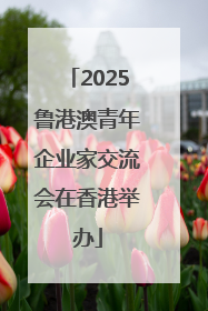 2025鲁港澳青年企业家交流会在香港举办