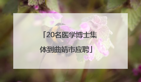 20名医学博士集体到曲靖市应聘