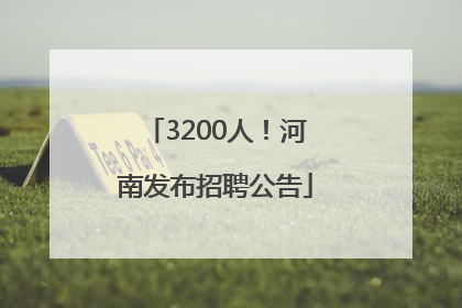 3200人！河南发布招聘公告