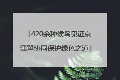420余种候鸟见证京津冀协同保护绿色之道