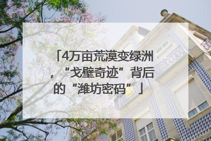 4万亩荒漠变绿洲，“戈壁奇迹”背后的“潍坊密码”