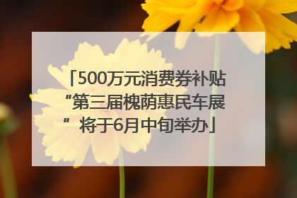 500万元消费券补贴 “第三届槐荫惠民车展”将于6月中旬举办