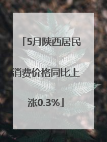 5月陕西居民消费价格同比上涨0.3%
