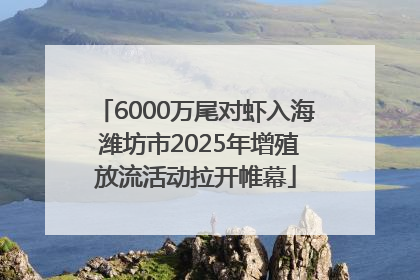 6000万尾对虾入海 潍坊市2025年增殖放流活动拉开帷幕