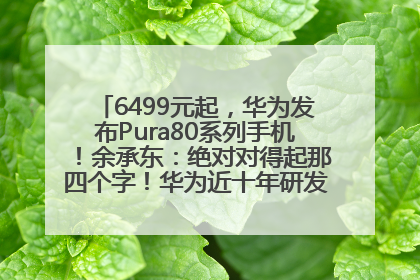 6499元起，华为发布Pura80系列手机！余承东：绝对对得起那四个字！华为近十年研发投入12490亿元