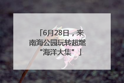 6月28日，来南海公园玩转超燃 “海洋大集”
