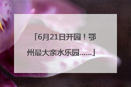 6月21日开园！鄂州最大亲水乐园……