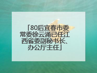 80后宜春市委常委徐云涌已任江西省委副秘书长、办公厅主任