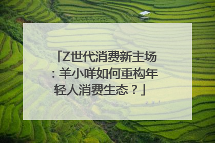 Z世代消费新主场：羊小咩如何重构年轻人消费生态？